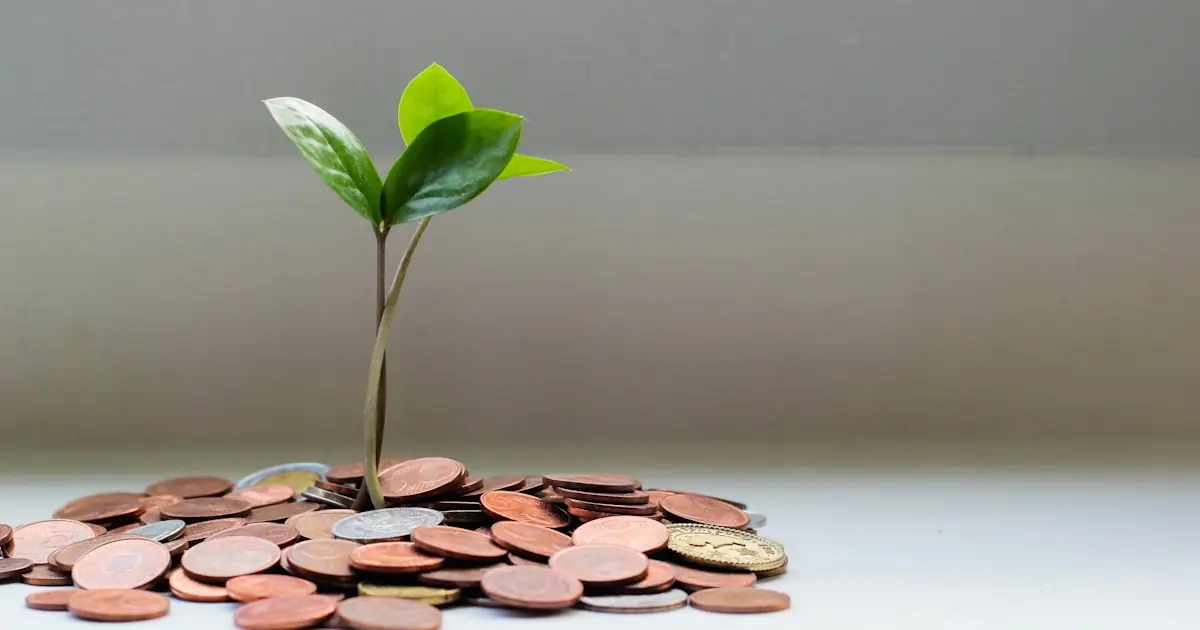 Quanto vale o problema que você resolve? O caso do consultor que cobra 15 mil pra um problema de 2,6 milhões